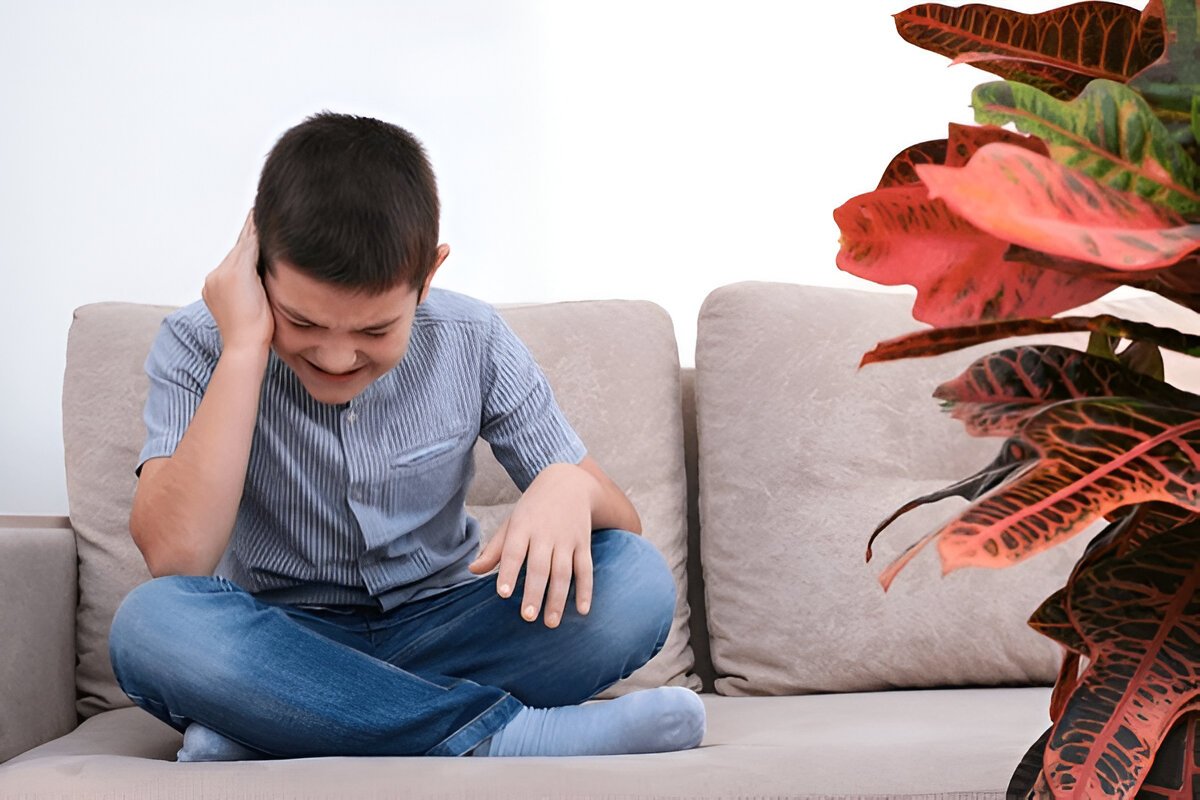 Chronic Otitis Media COM | JustPicked Chronic Otitis Media COM