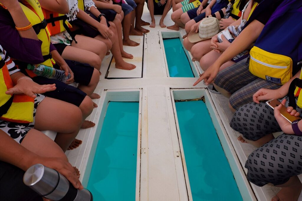 Glass-Bottom Boat Rides