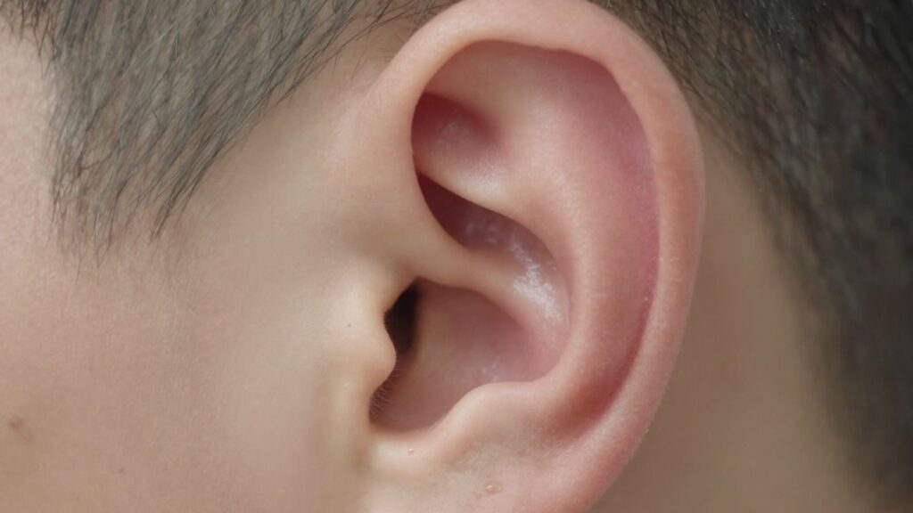 image | JustPicked Close-up of an ear canal with subtle signs of infection.