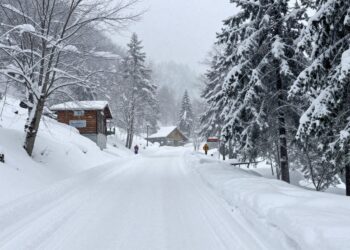 Auli covered in heavy snow, travel disrupted.